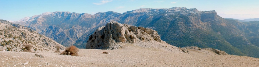panorama