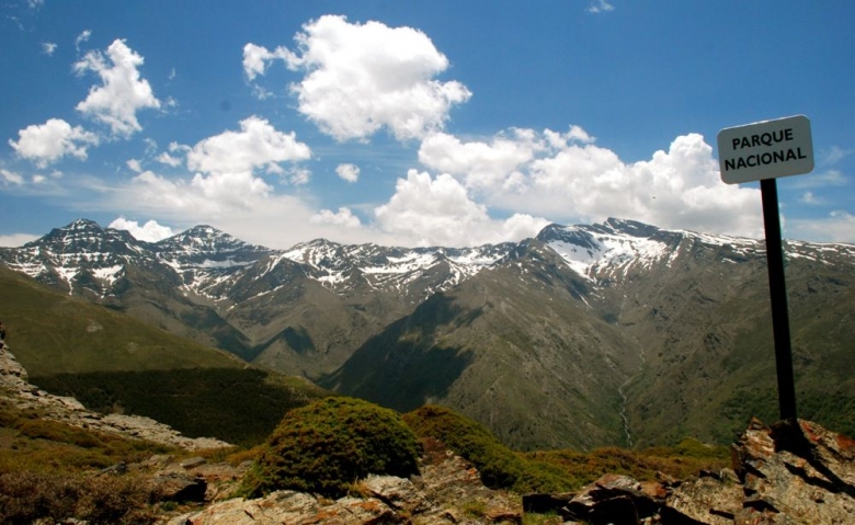 Panorámicas