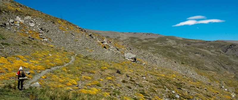 En la Campiñuela
