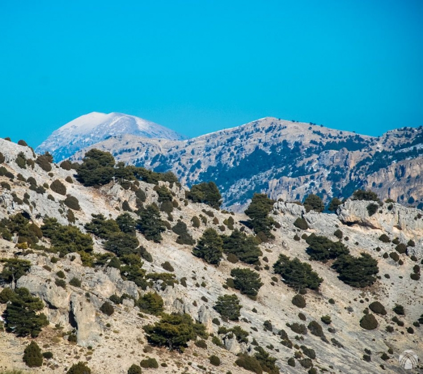 La Sagra asoma